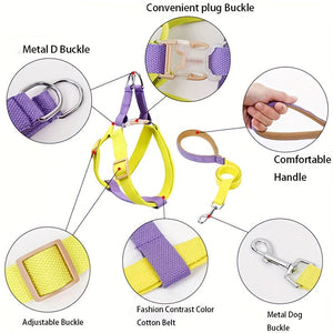 Why Your Pet Deserves the Rainbow Colorblock Anti Escape Pet Harness Set