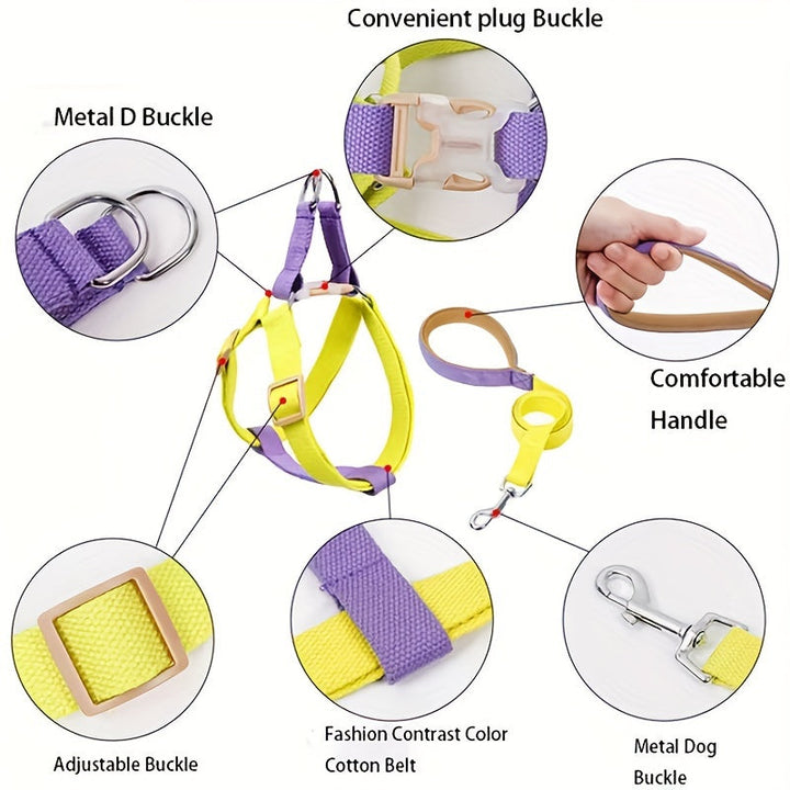 Why Your Pet Deserves the Rainbow Colorblock Anti Escape Pet Harness Set