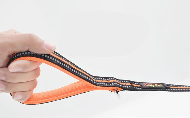 Nylon Retractable Assisted Pet Leash - The Perfect Companion for Your Dog