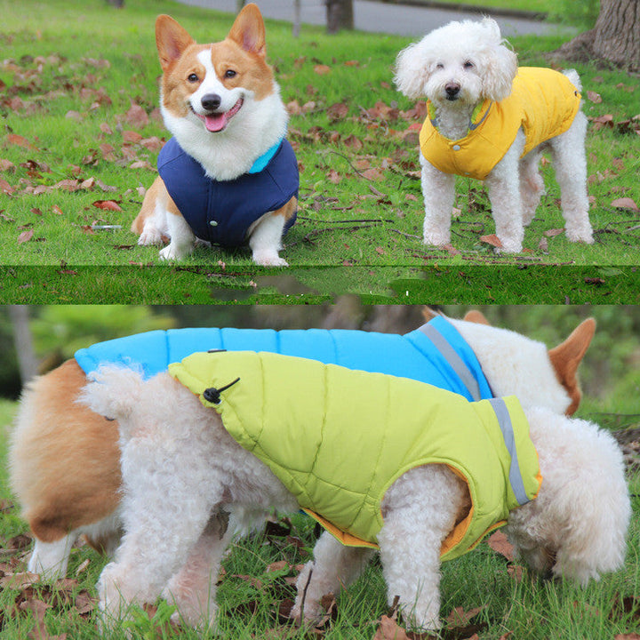 The Ultimate Outdoor Companion for Your Pet