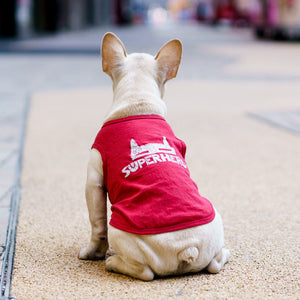 Fashionable Summer Pet T-Shirt Apparel