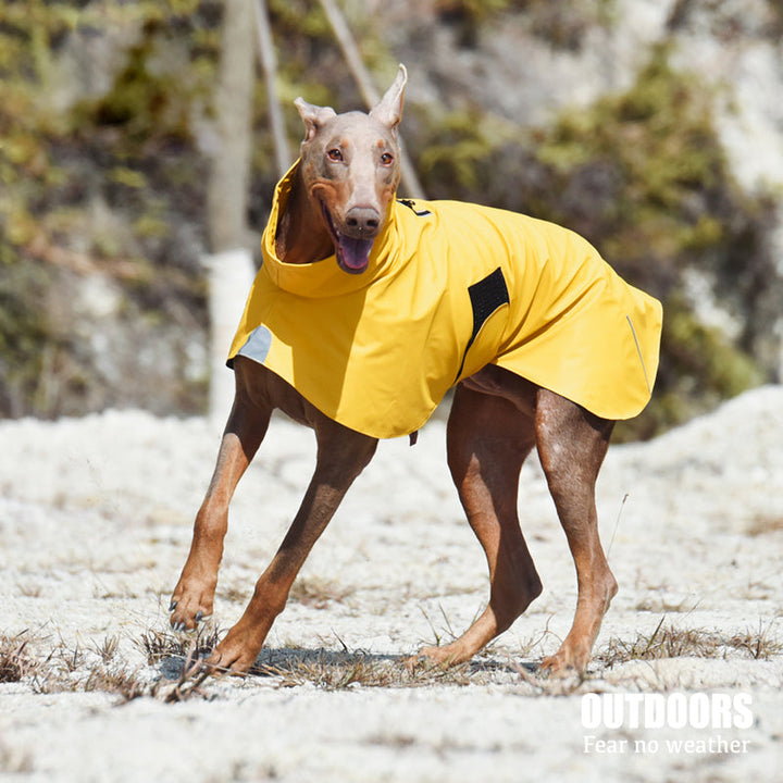 Waterproof Windproof Pet Shell Rain Jacket - Keeping Your Pets Dry and Stylish