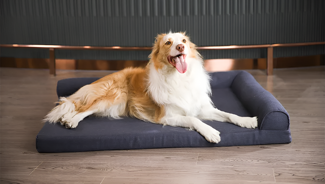 Ultimate Guide to Perfect Pet Bed