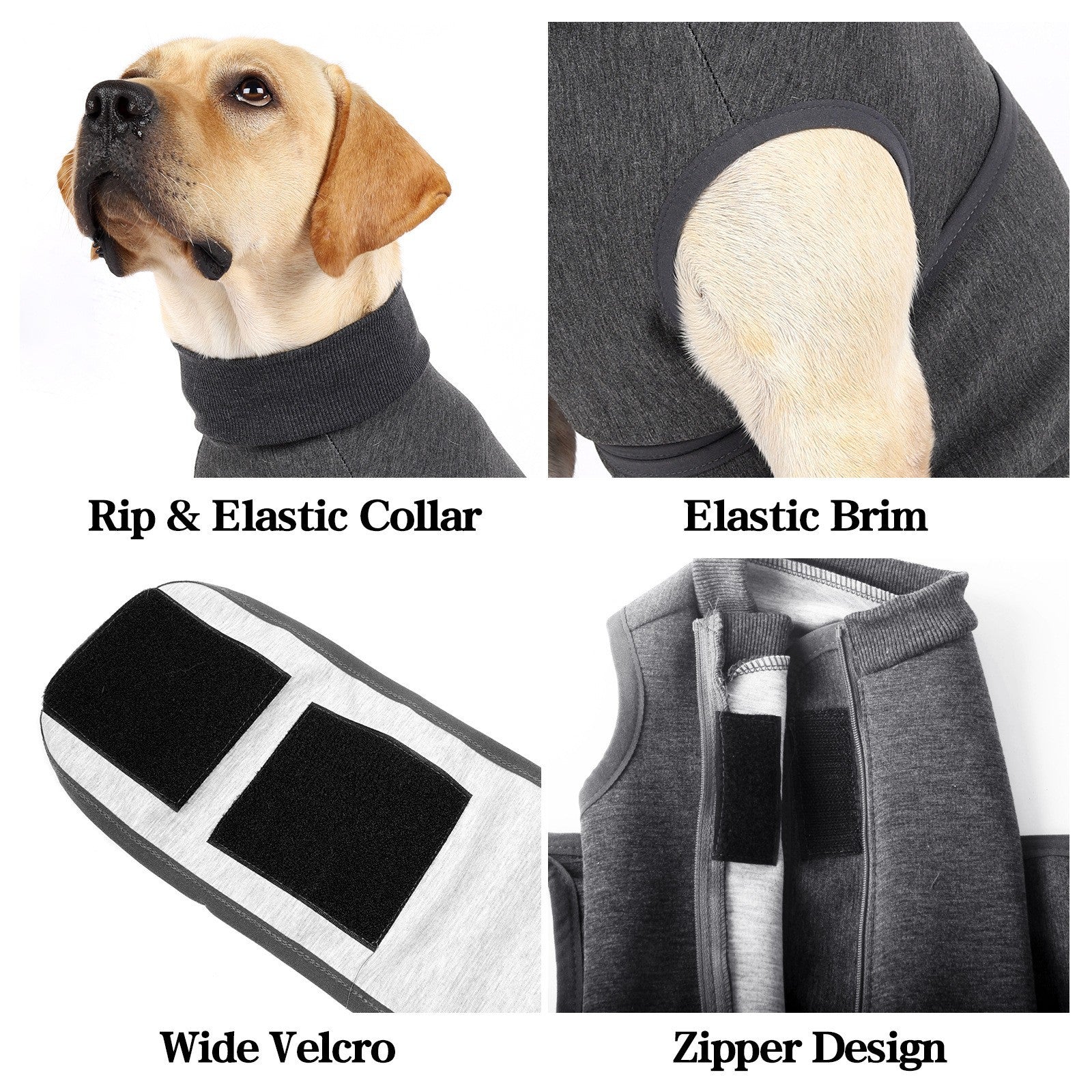 Keep Your Pets Cozy with Our Double Layer Polyester Cotton Comfort Pet Jacket