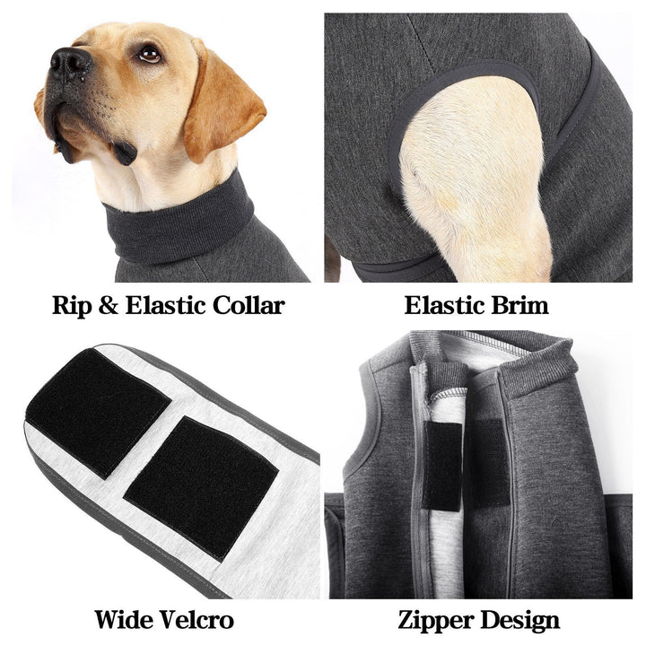 Keep Your Pets Cozy with Our Double Layer Polyester Cotton Comfort Pet Jacket
