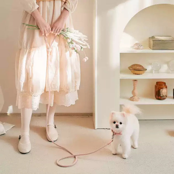 Leather Pet Collar And Handheld Rope Leash Set