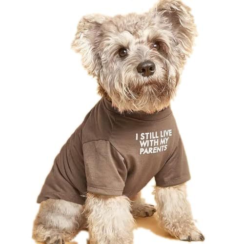 Round Neck Pet T-Shirt Apparel