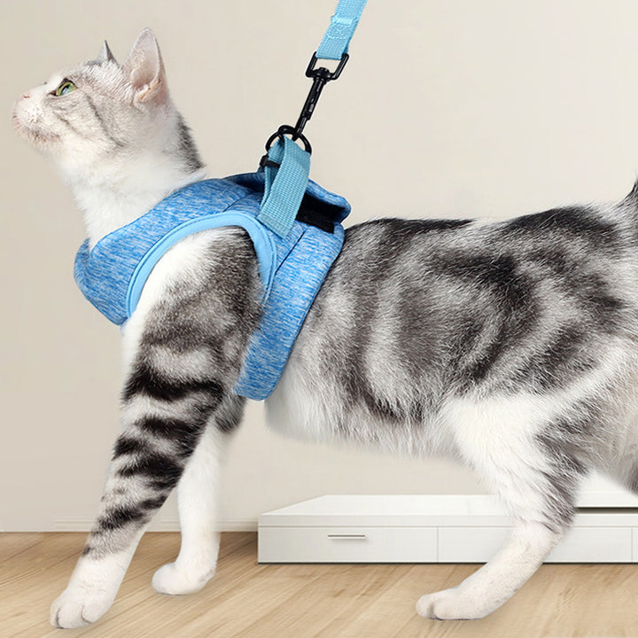Breathable Lightweight Pet Chest Strap And Lace Leash