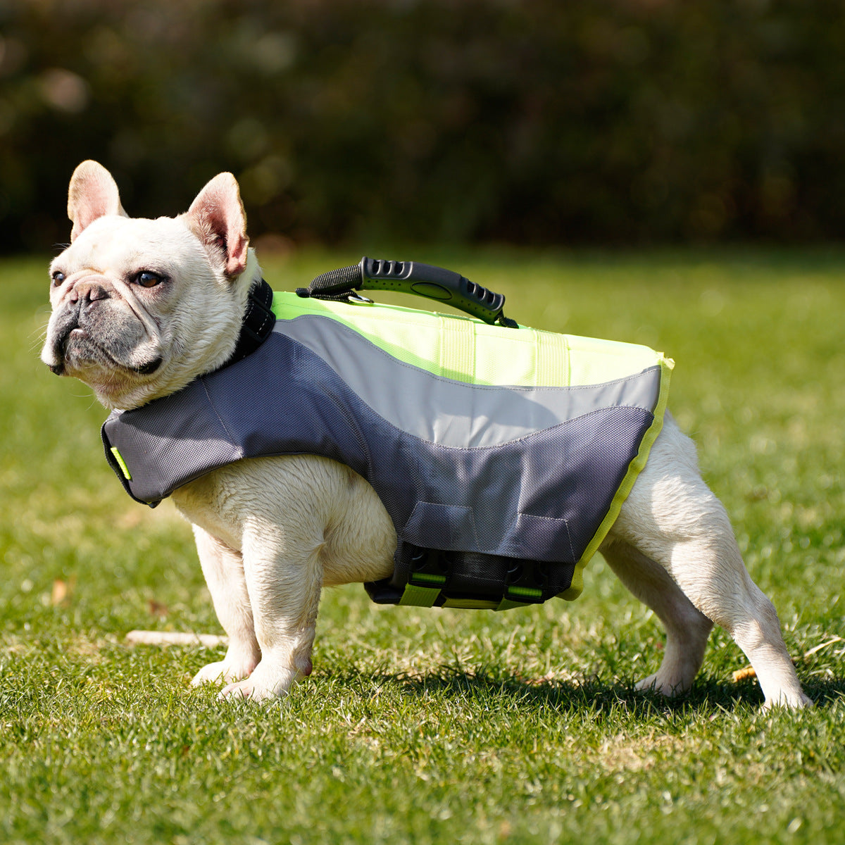 Reflective Pet Swim Life Jacket Suit