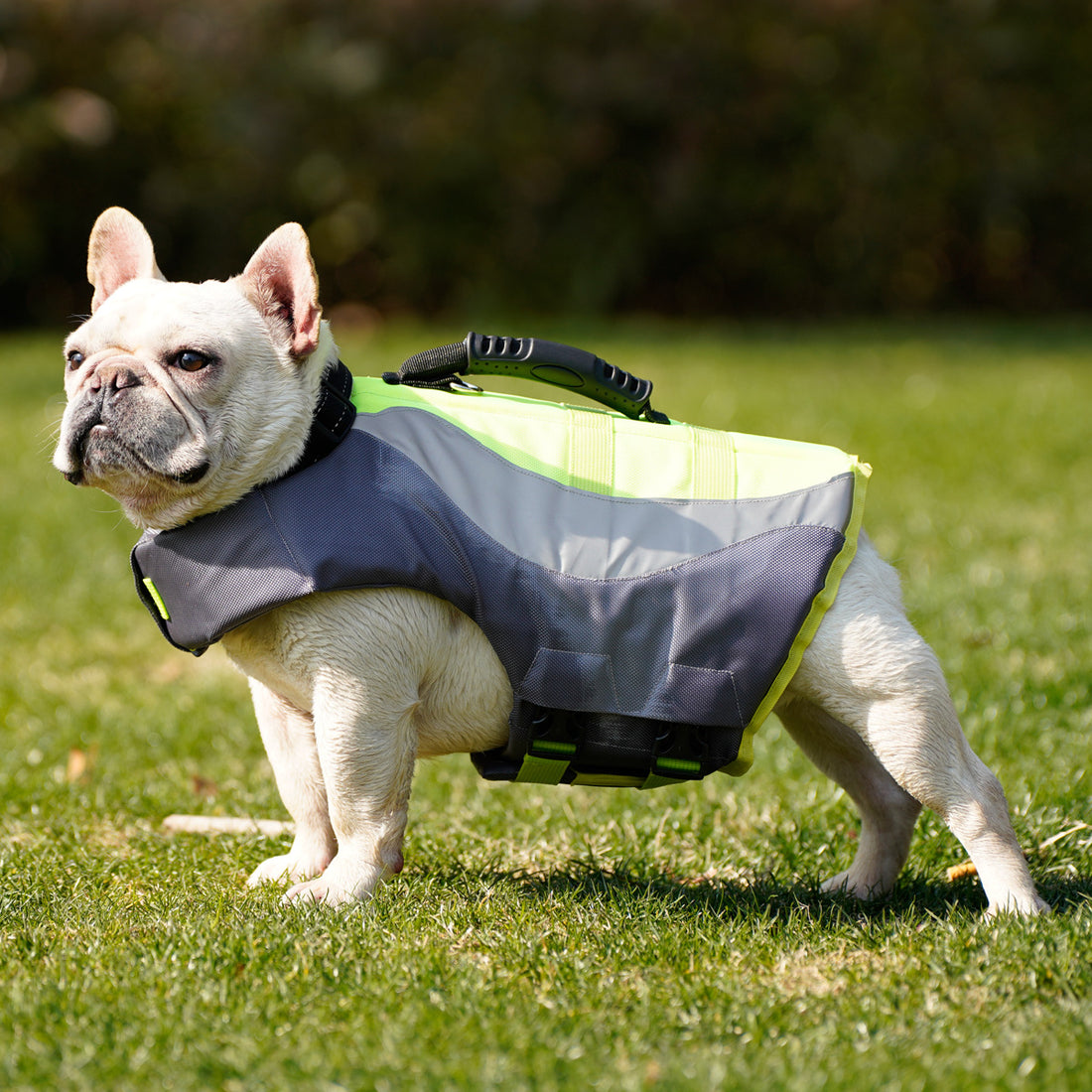 Reflective Pet Swim Life Jacket Suit