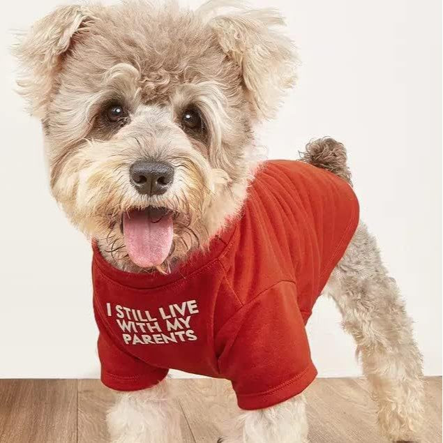 Round Neck Pet T-Shirt Apparel