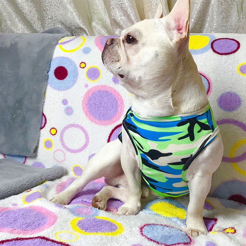 Fashionable Summer Pet T-Shirt Apparel