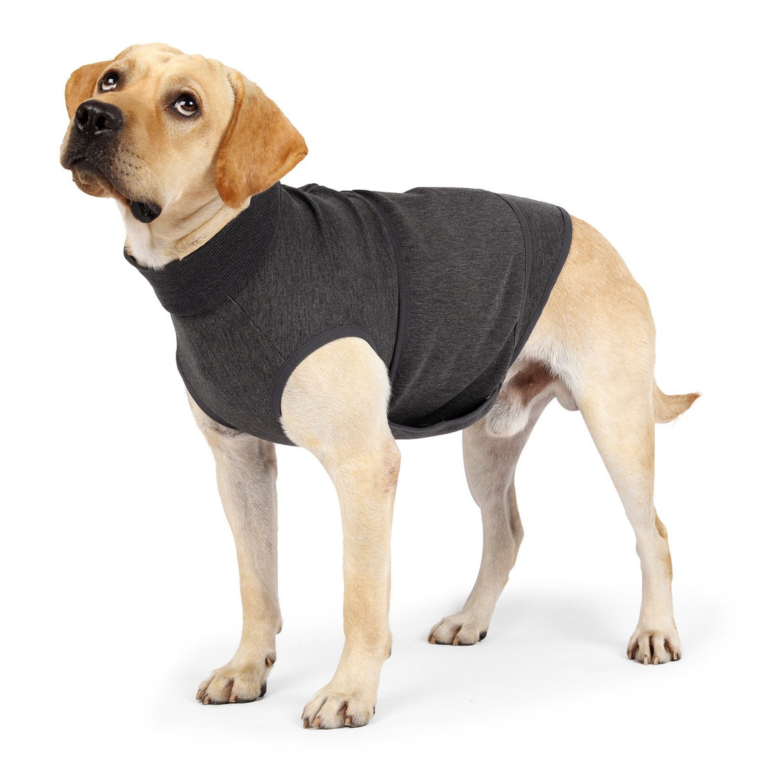 Double Layer Polyester Cotton Comfort Pet Jacket Apparel