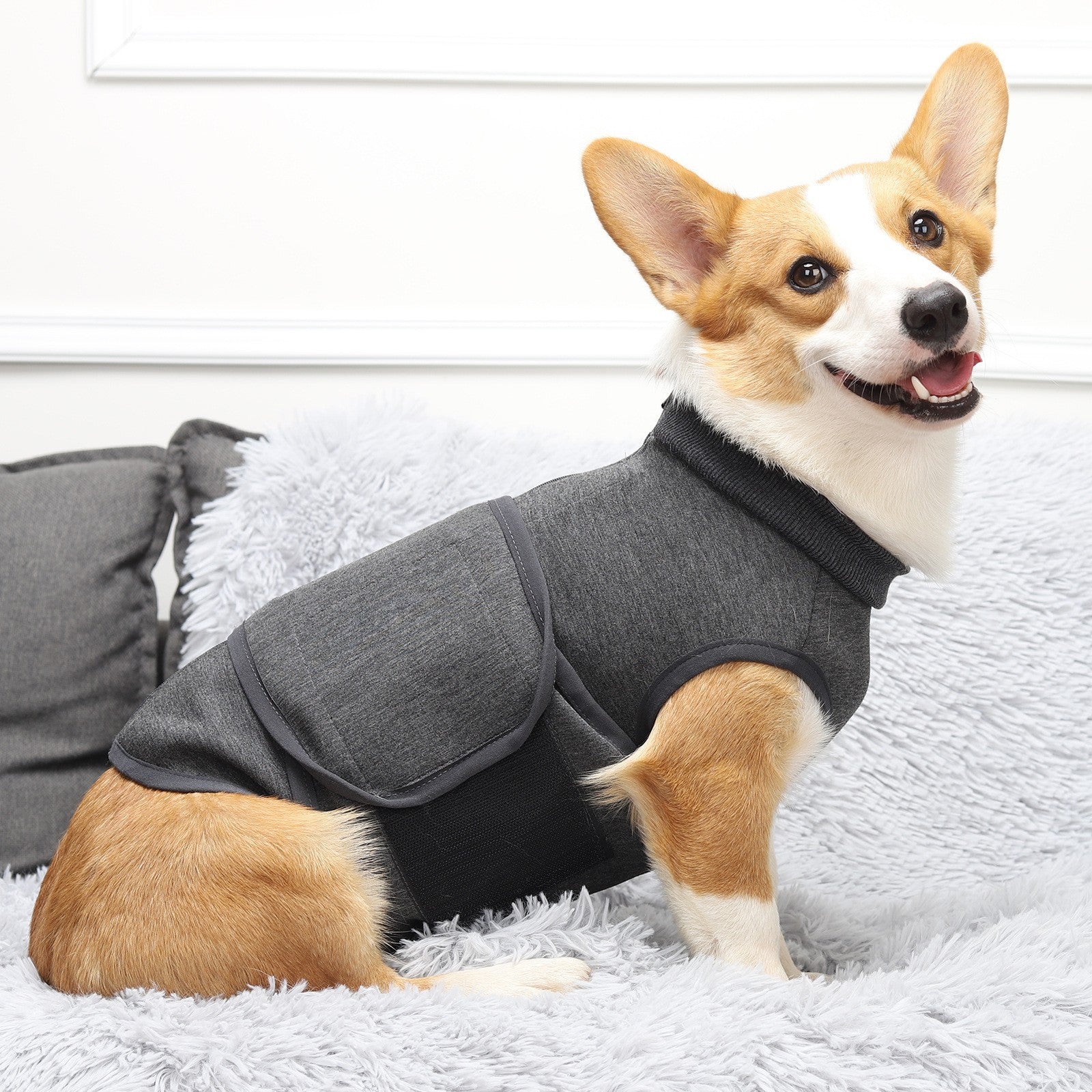 Double Layer Polyester Cotton Comfort Pet Jacket Apparel