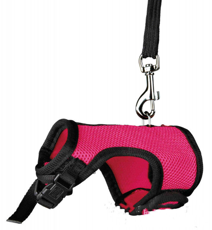 Compact Pet Leash For Small Pets Daily Walking