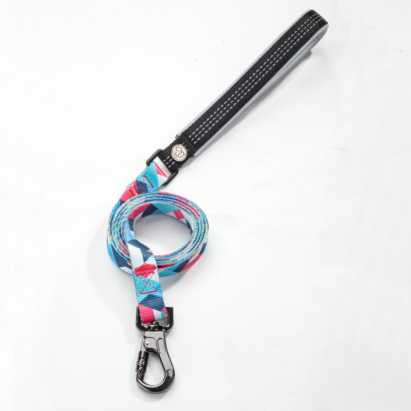 Adjustable Pet Leash For Daily Walking And Training