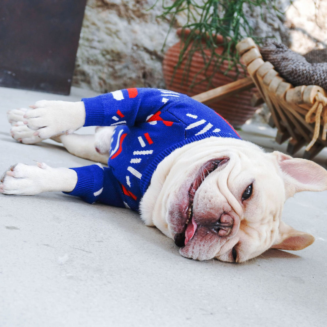 Warm Knitted Pet Sweater Apparel