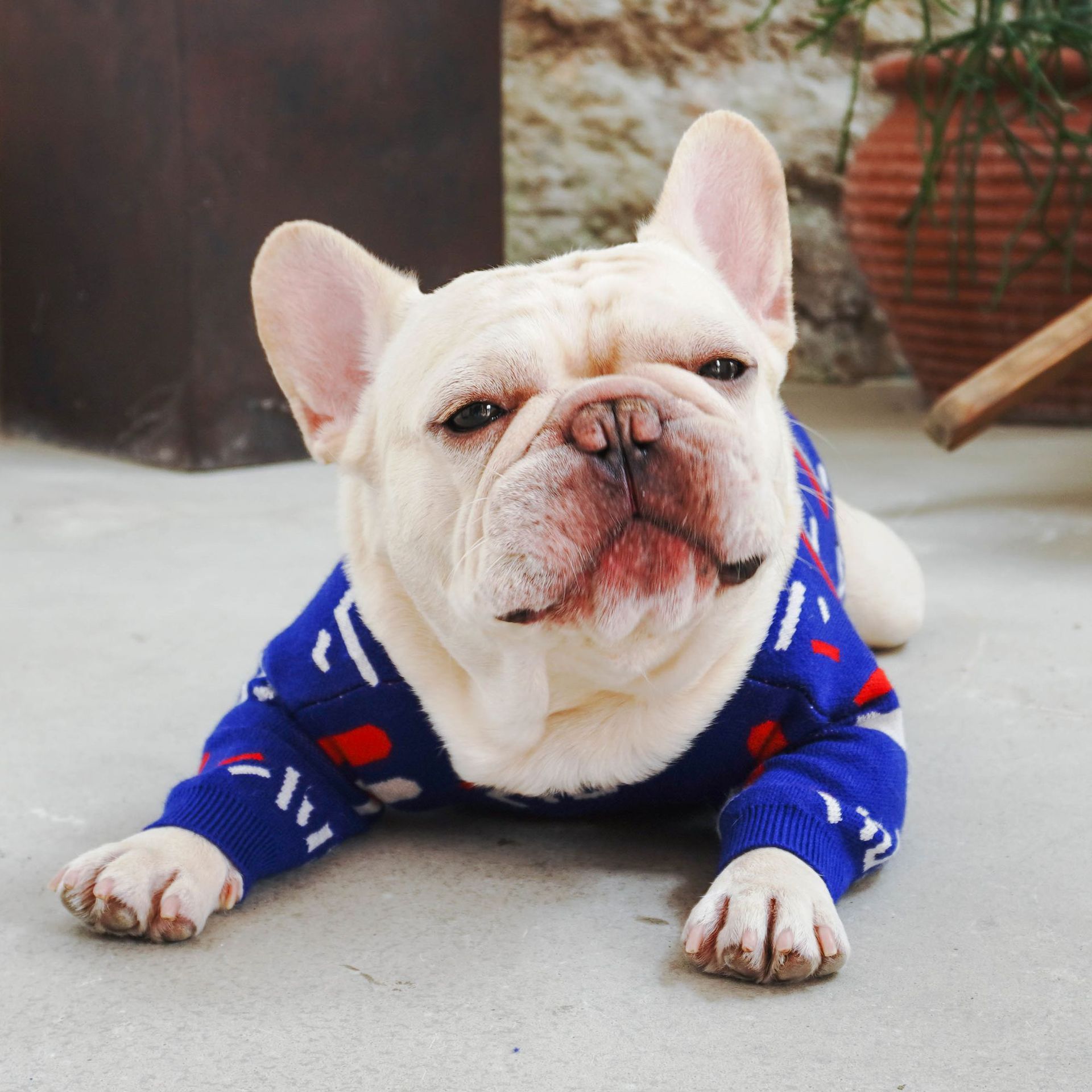 Warm Knitted Pet Sweater Apparel