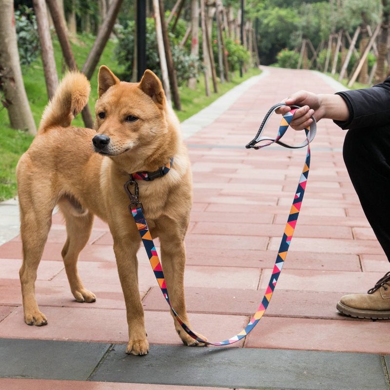 Adjustable Pet Leash For Daily Walking And Training
