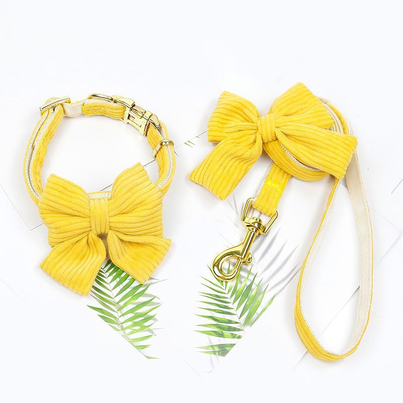 Outdoor Pet Harness And Leash Walking Set
