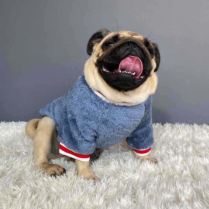 Warm Knitted Pet Sweater Apparel