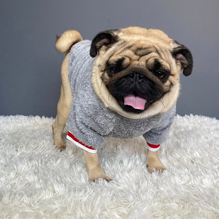 Warm Knitted Pet Sweater Apparel