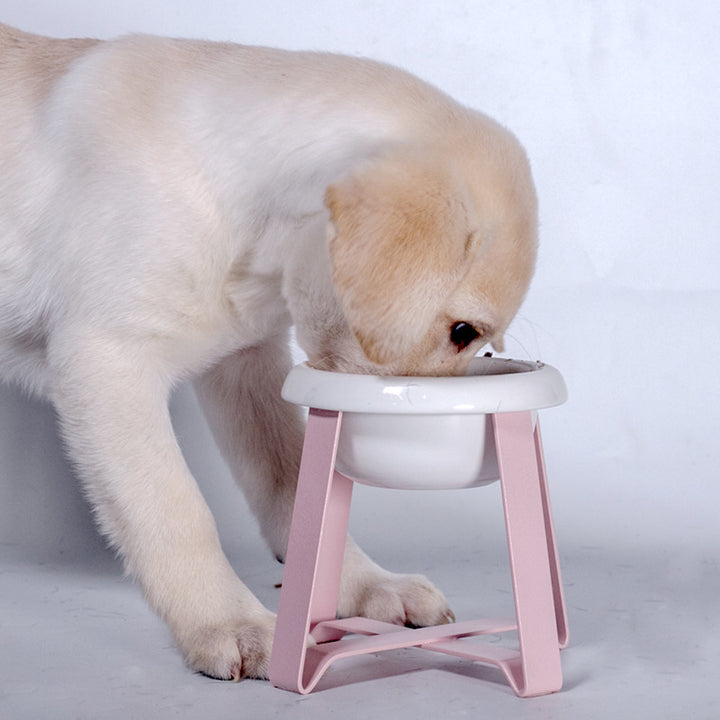 Anti-Slip Pet Feeding Bowl With Iron Stand 2 In 1