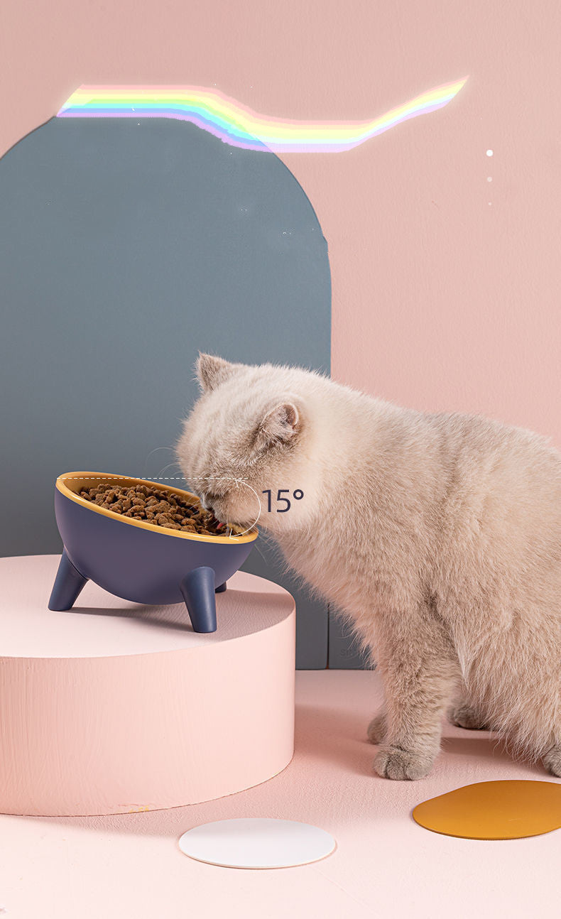 Nordic Style Pet Feeding Bowls With Stand