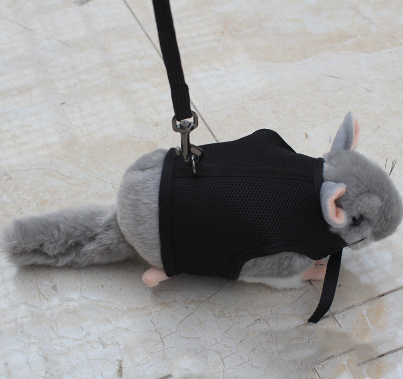 Compact Pet Leash For Small Pets Daily Walking