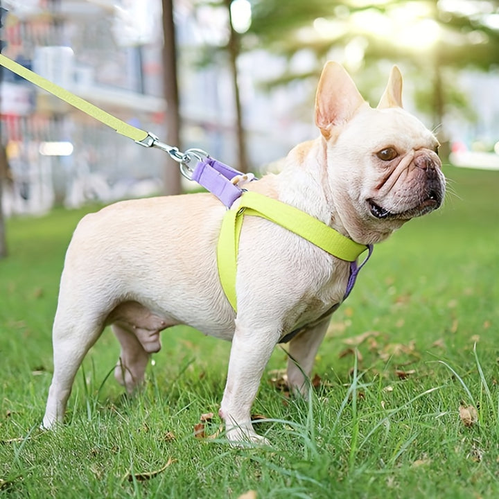 Rainbow Colorblock Anti Escape Pet Harness Set