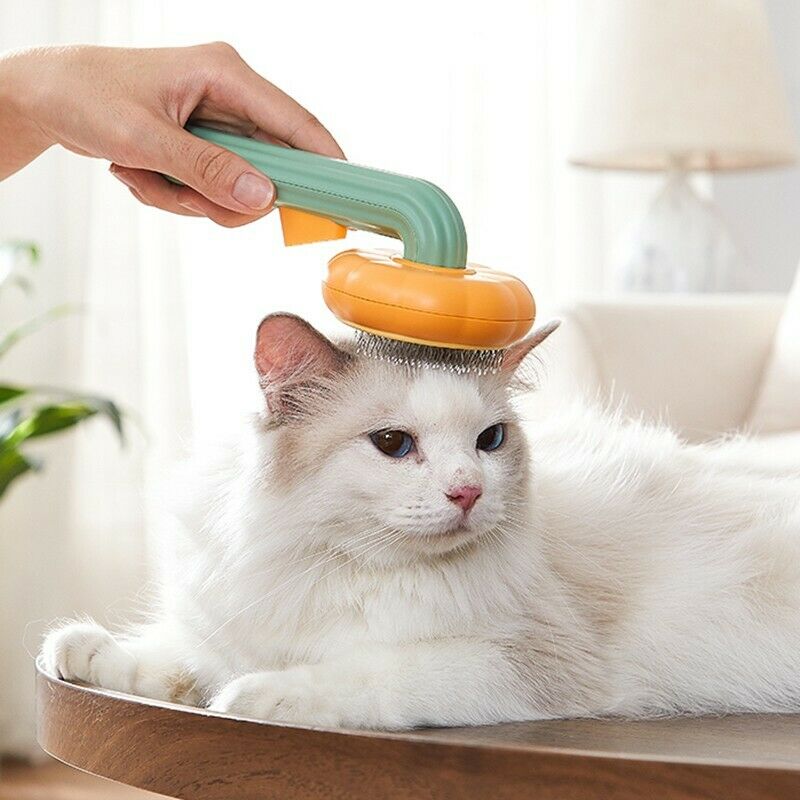 Pumpkin Style Self Cleaning Pet Slicker Grooming Brush