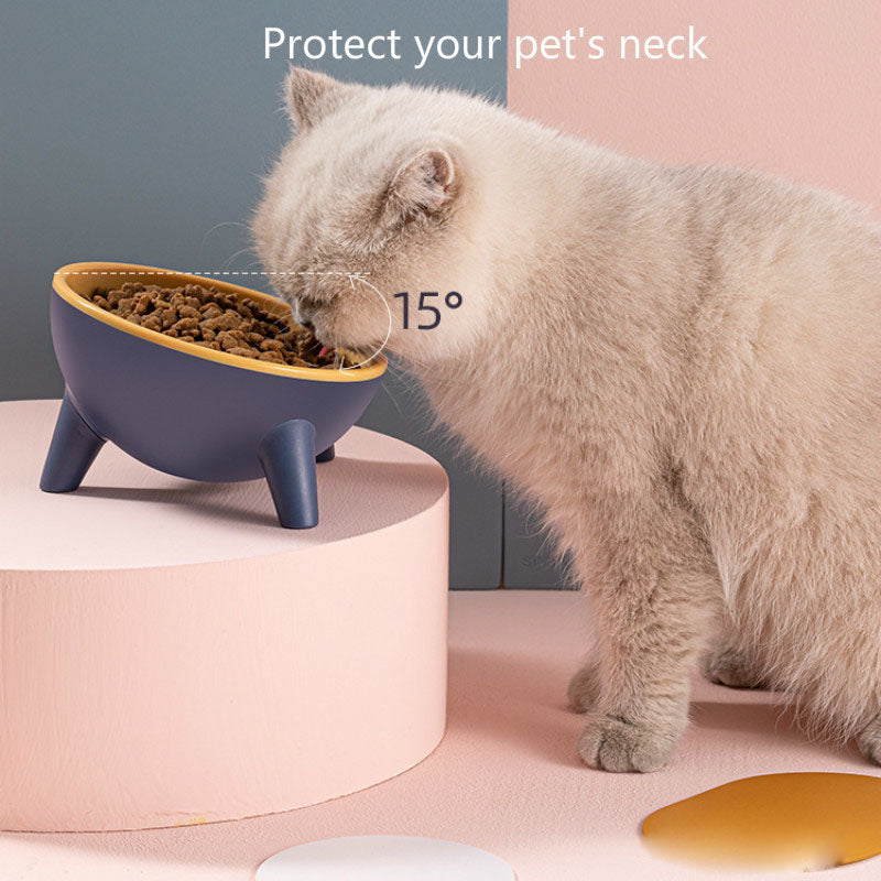Nordic Style Pet Feeding Bowls With Stand
