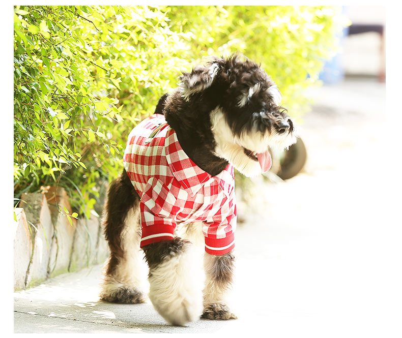 Summer Fashion Pet T-Shirt Apparel