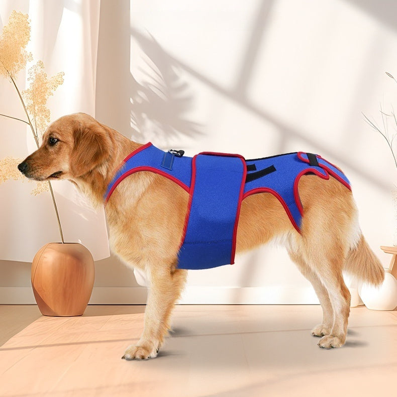 Spine Support Posture Correction Pet Jacket