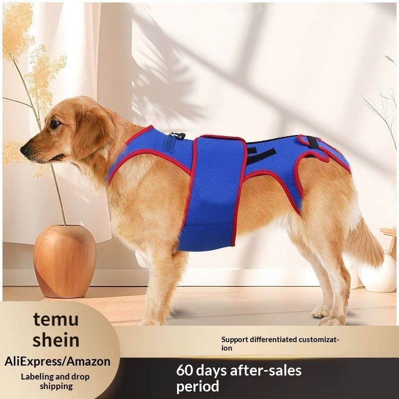Spine Support Posture Correction Pet Jacket