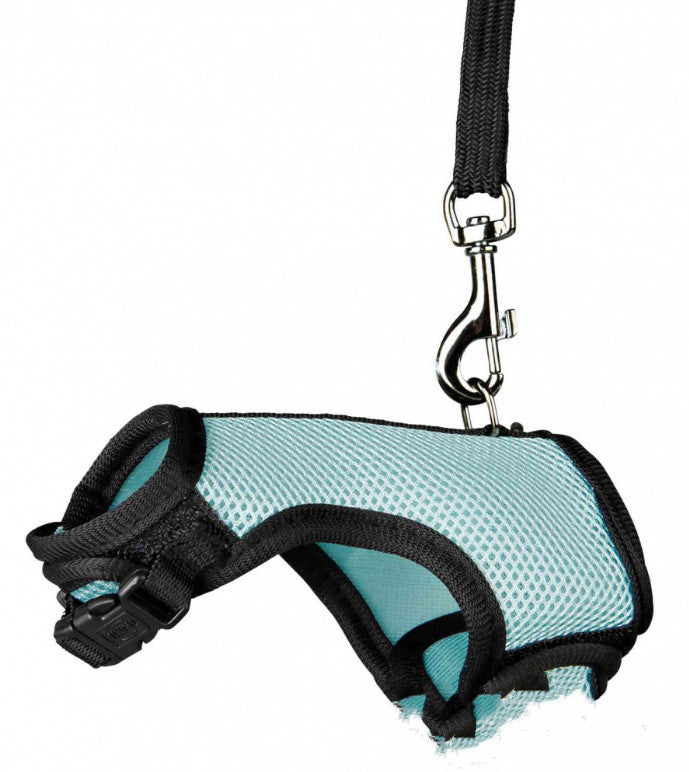 Compact Pet Leash For Small Pets Daily Walking