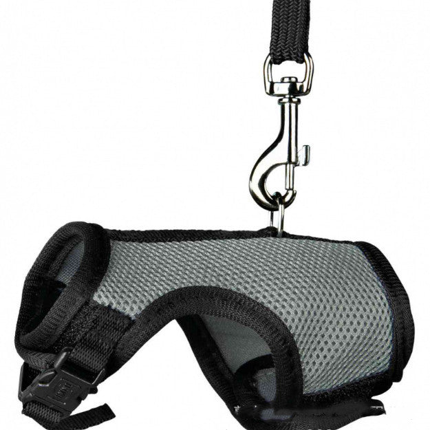Compact Pet Leash For Small Pets Daily Walking