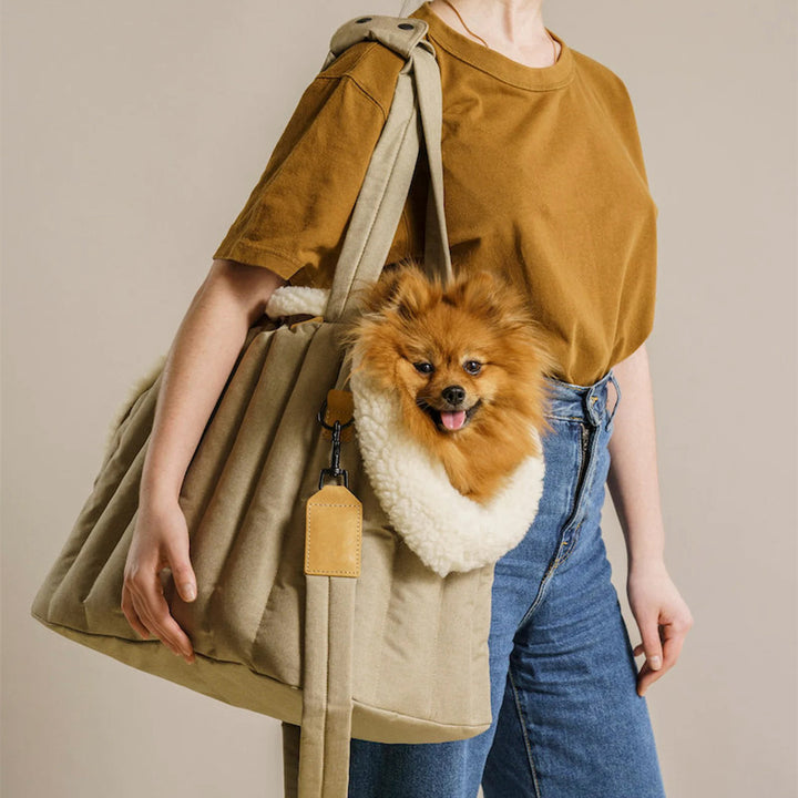 Waterproof Pet Carrier Handbag For Outdoor Travel