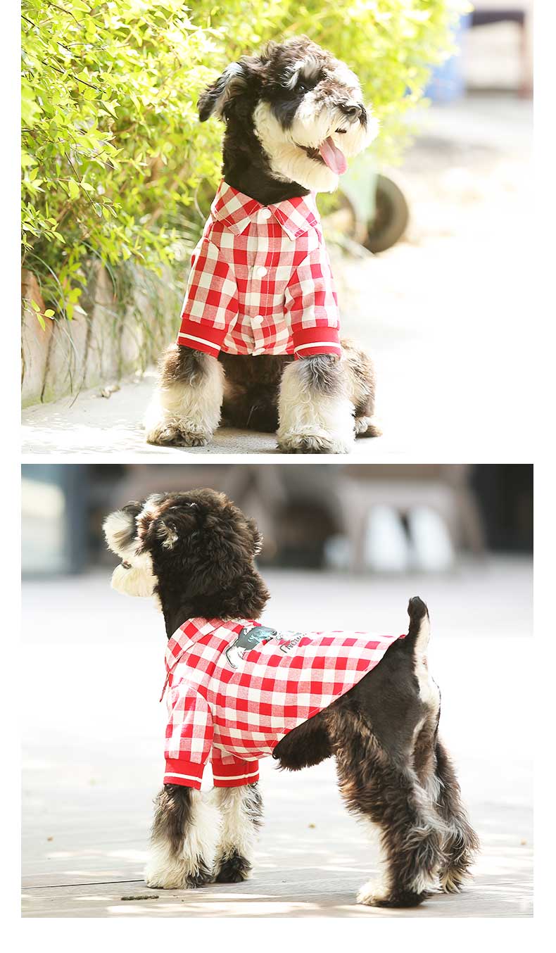 Summer Fashion Pet T-Shirt Apparel