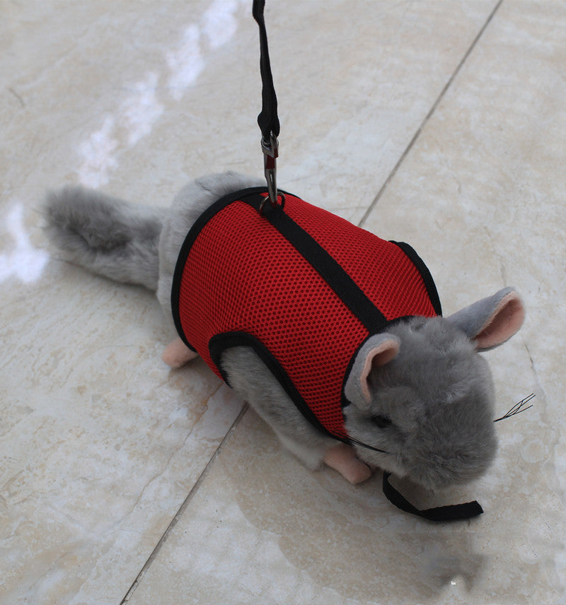 Compact Pet Leash For Small Pets Daily Walking