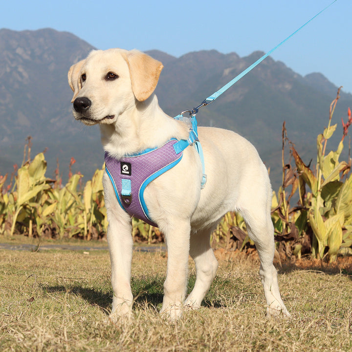 Breathable Adjustable Pet Harness Leash