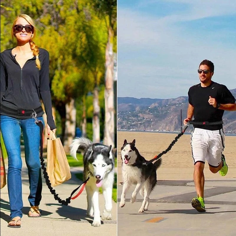 Adjustable Pet Harness Collar And Jogging Leash Set
