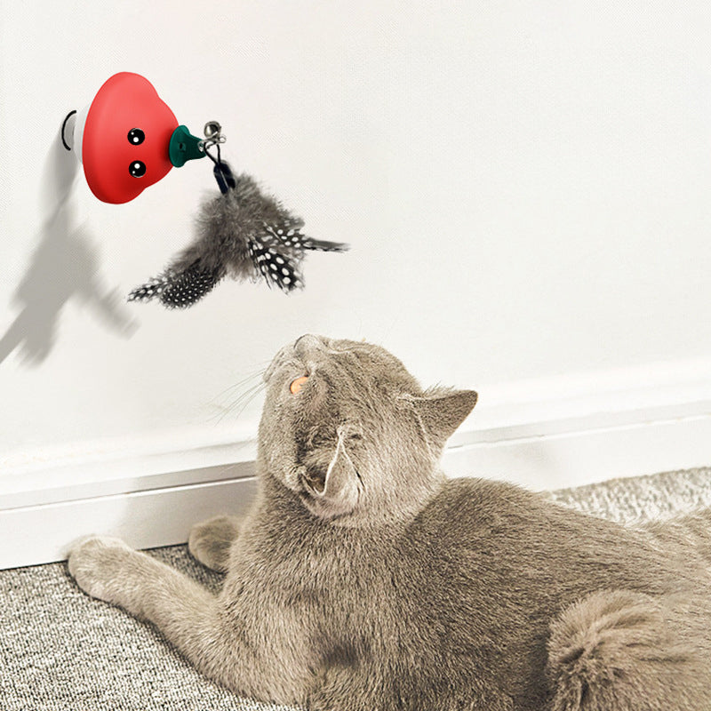 Retractable Pet Teaser Wand Toy With Suction Cup
