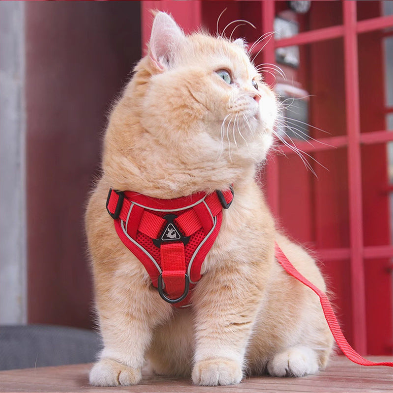 Adjustable Pet Harness Vest With Matching Leash Strap
