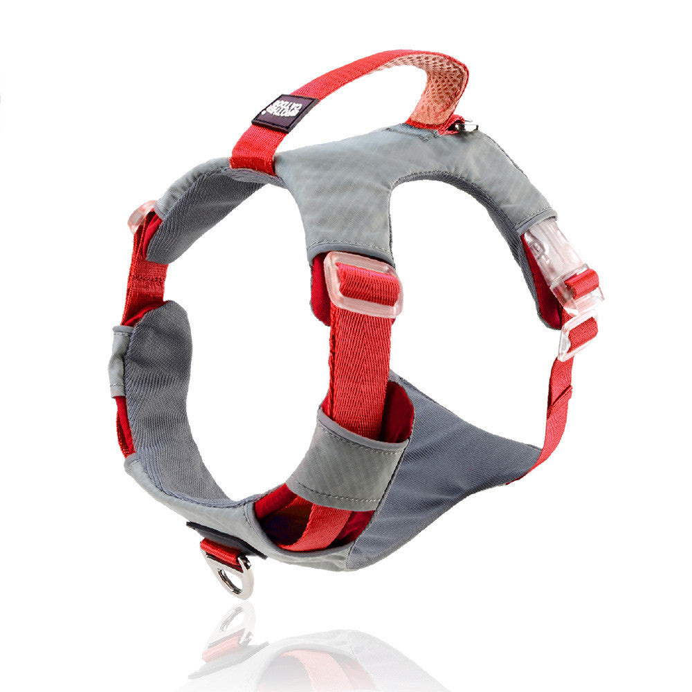 Heavy Duty Chest Strap Pet Leash With Storage Bag