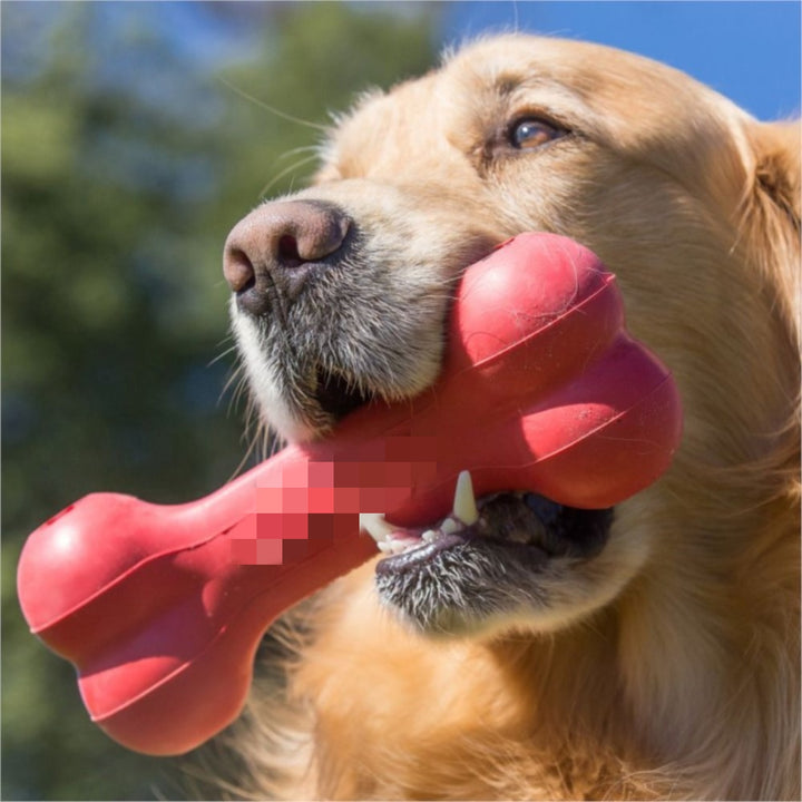 Pet Bite Resistant Rubber Teething And Chew Toy
