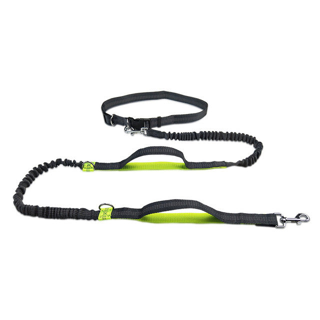 Adjustable Pet Harness Collar And Jogging Leash Set