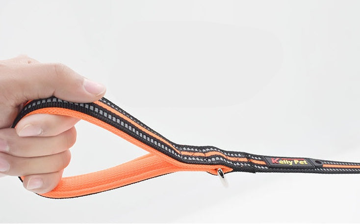 Nylon Retractable Assisted Pet Leash