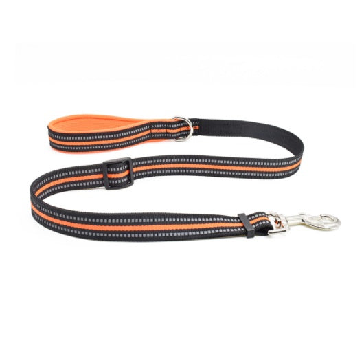 Nylon Retractable Assisted Pet Leash