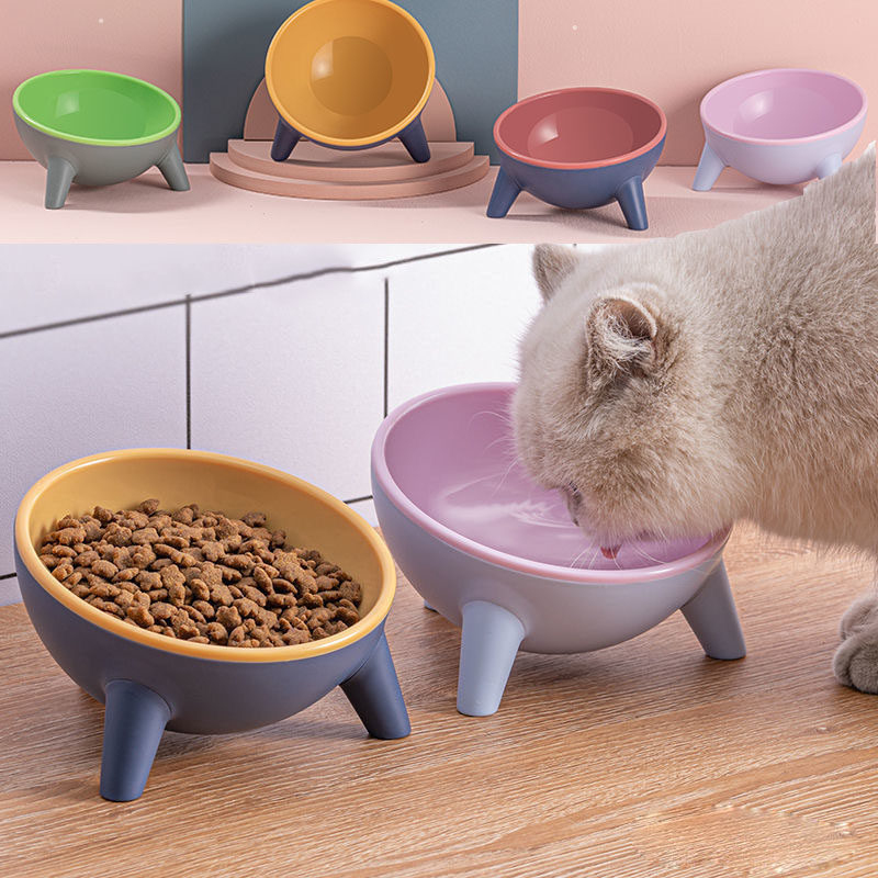 Nordic Style Pet Feeding Bowls With Stand